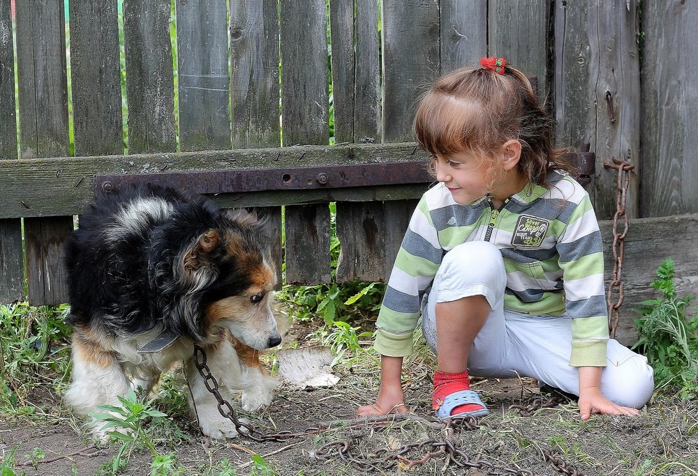 Photograph by Людмила Жданова