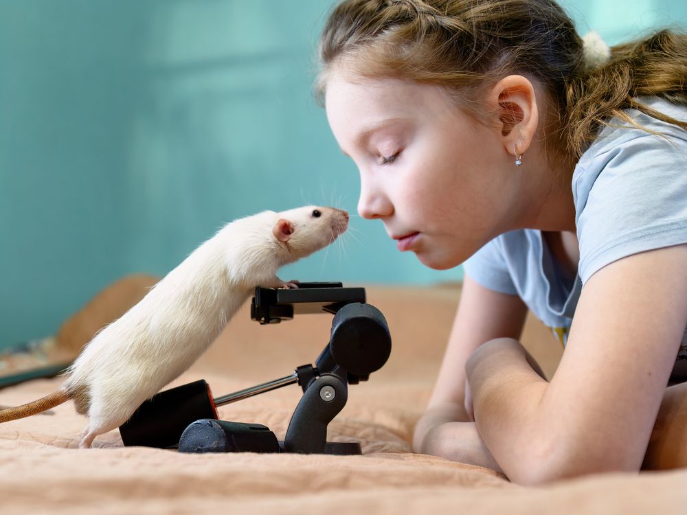 Фотография автора Станислав Левандовский