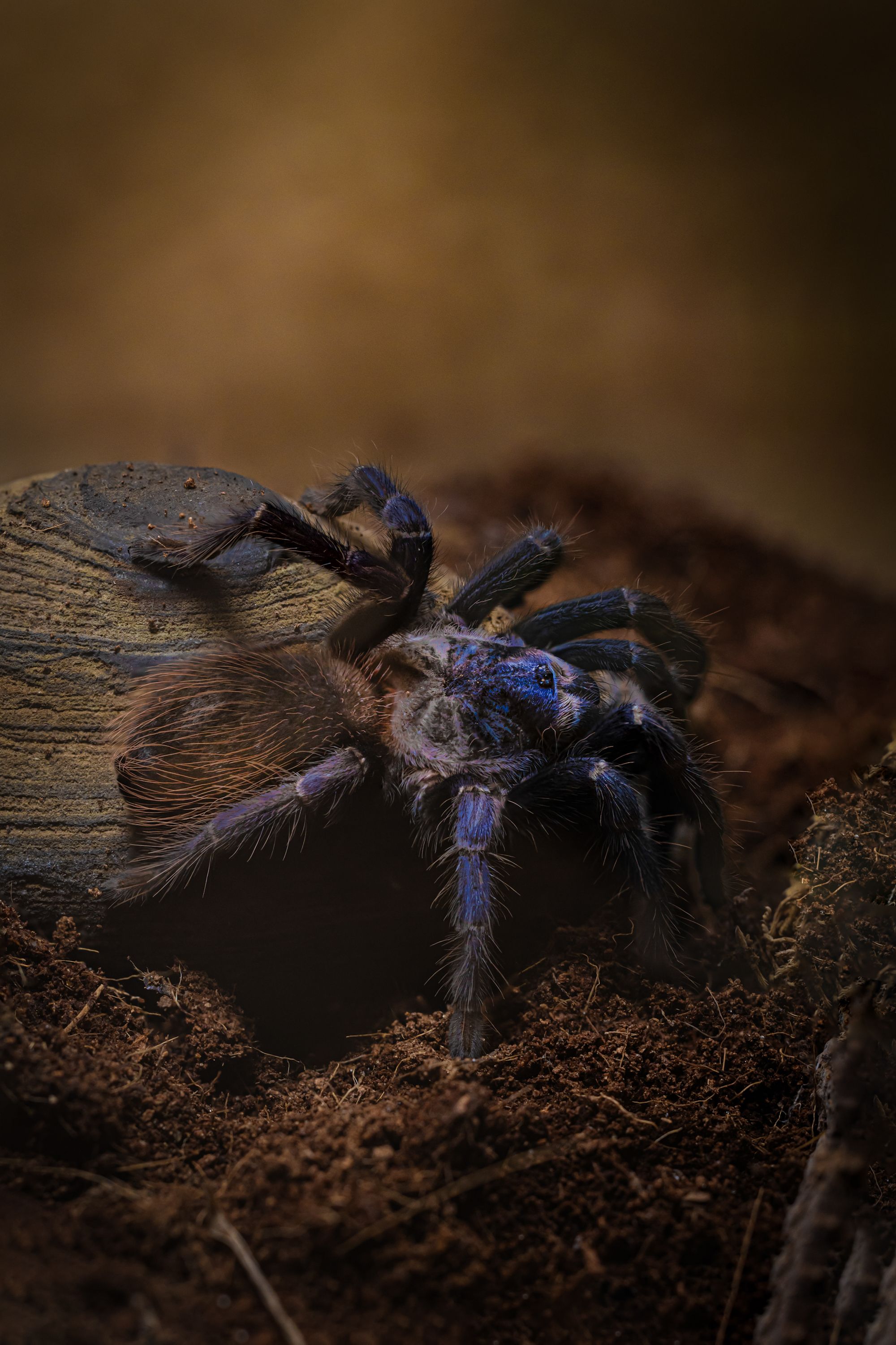 Photograph by Игорь Толкачев