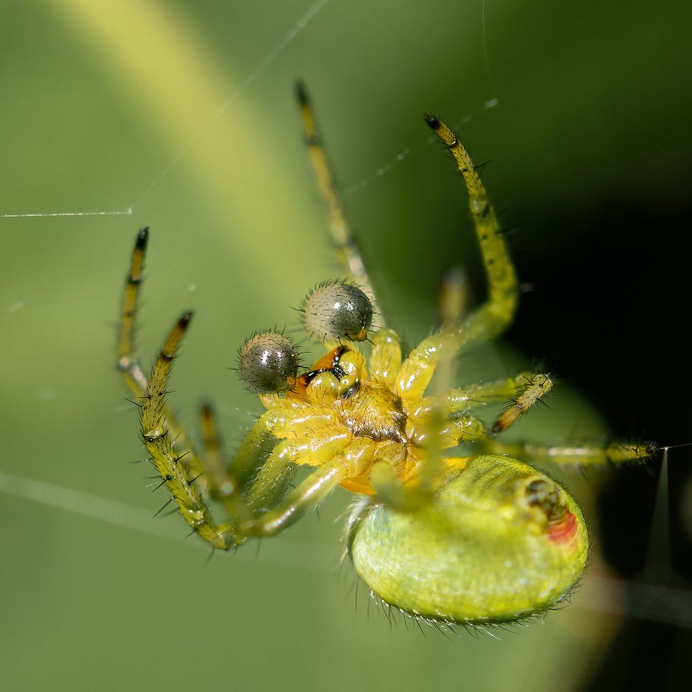 Photograph by Victor Stepanov