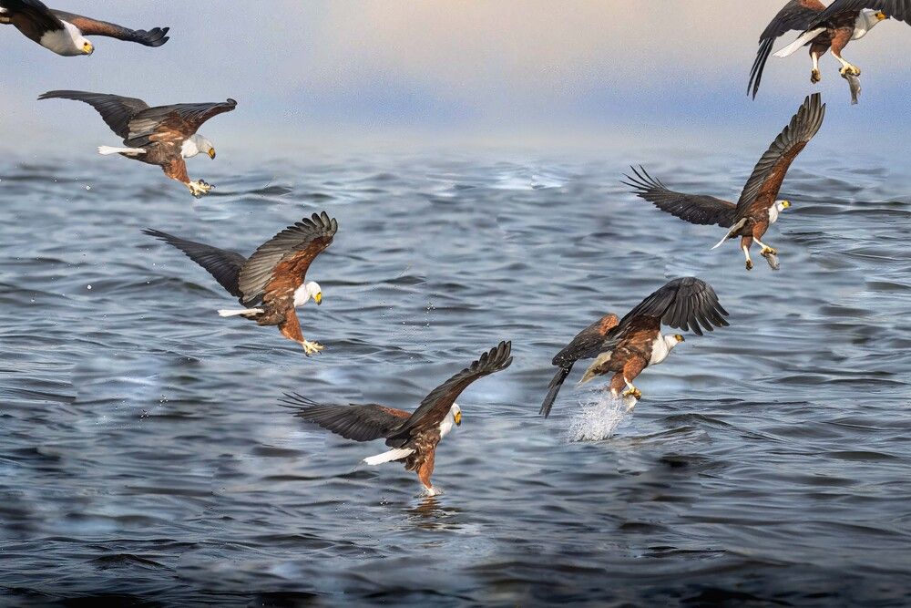 Precision Over Restless Waters