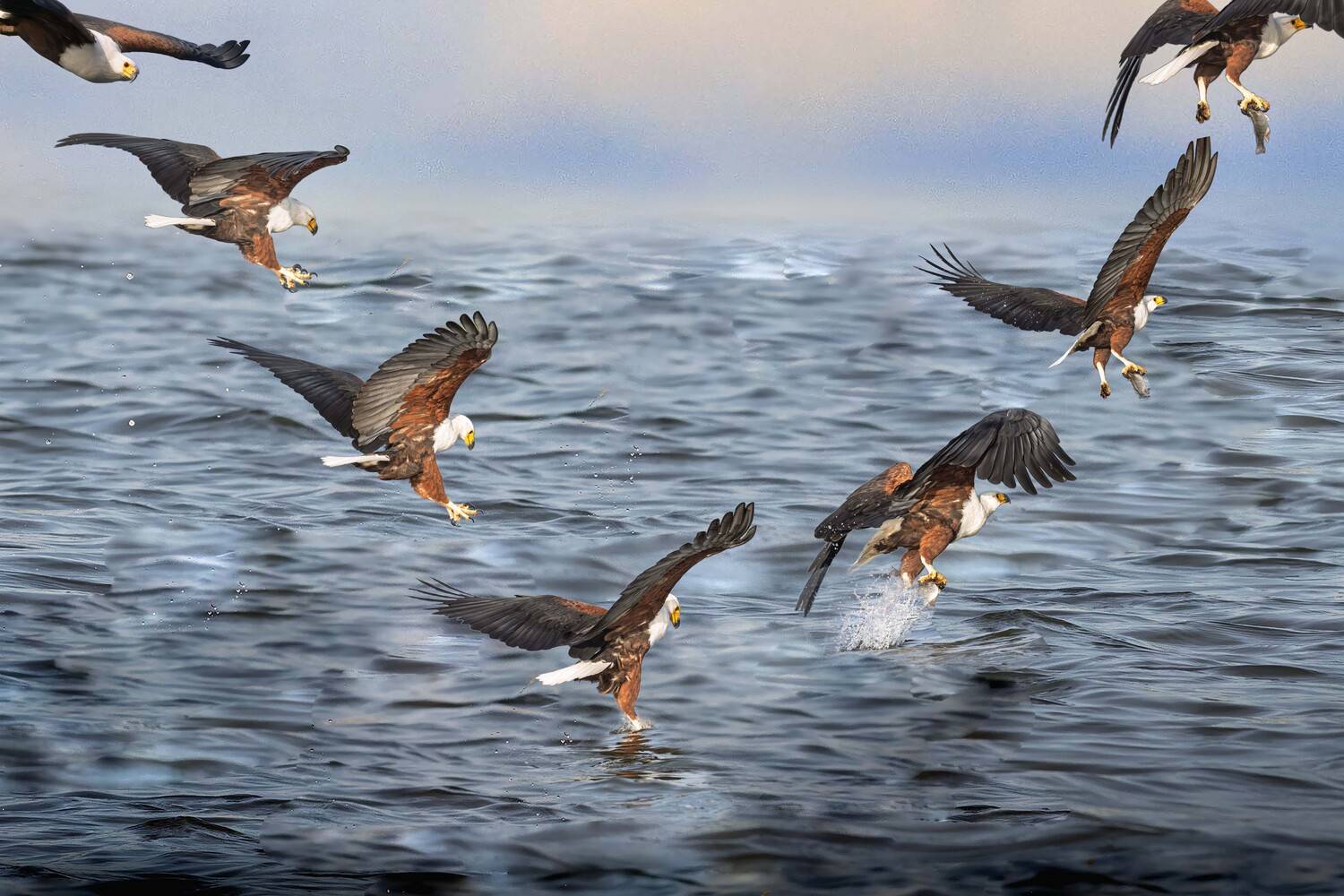 Precision Over Restless Waters