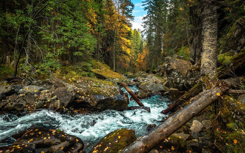Photograph by Владимир Синцов