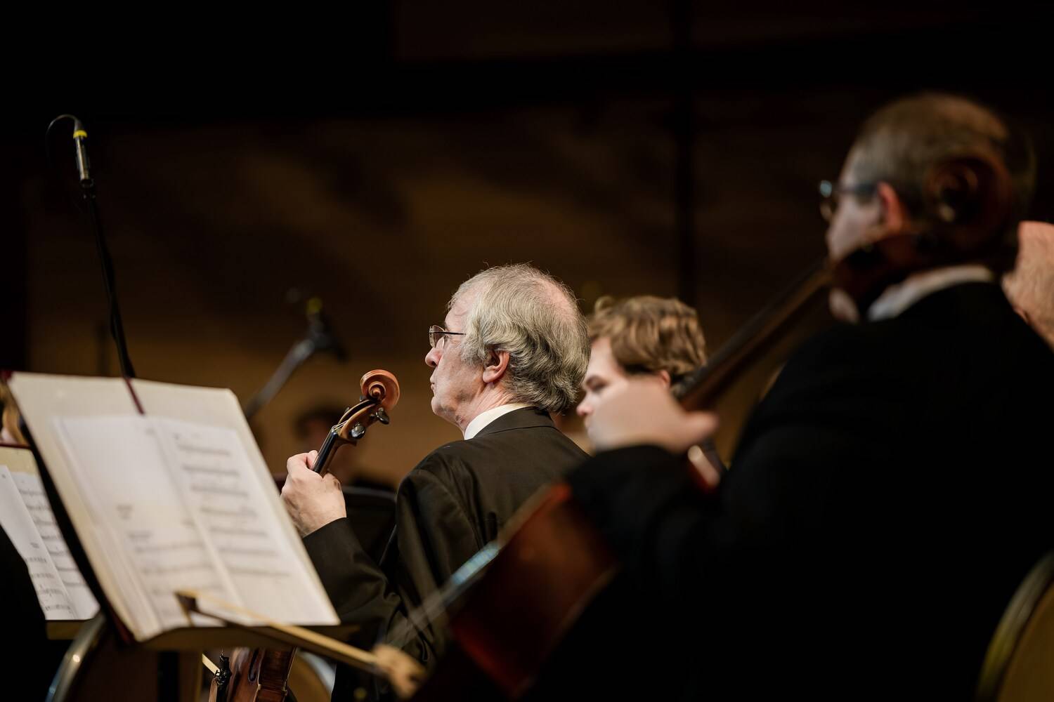 Фотография #13290636