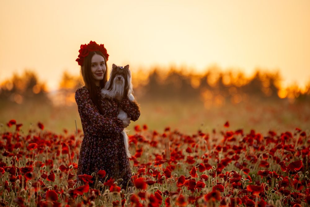 Photograph by Rahim Rahimov