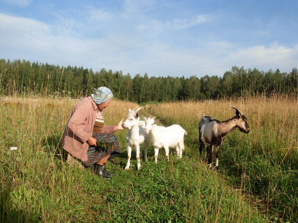 Photograph by Любовь Войводич