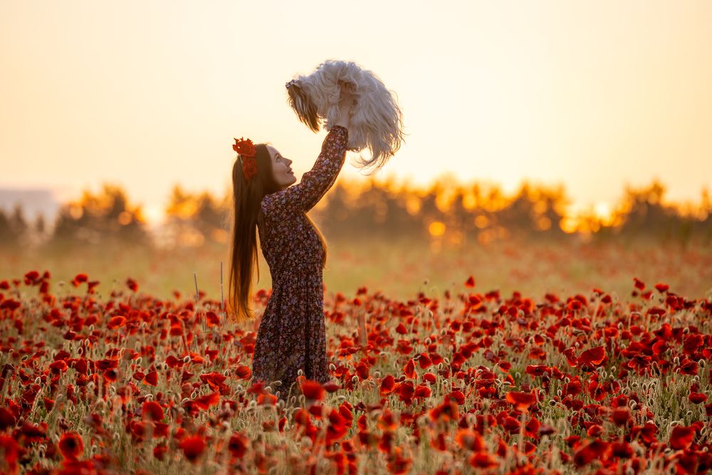 Photograph by Rahim Rahimov