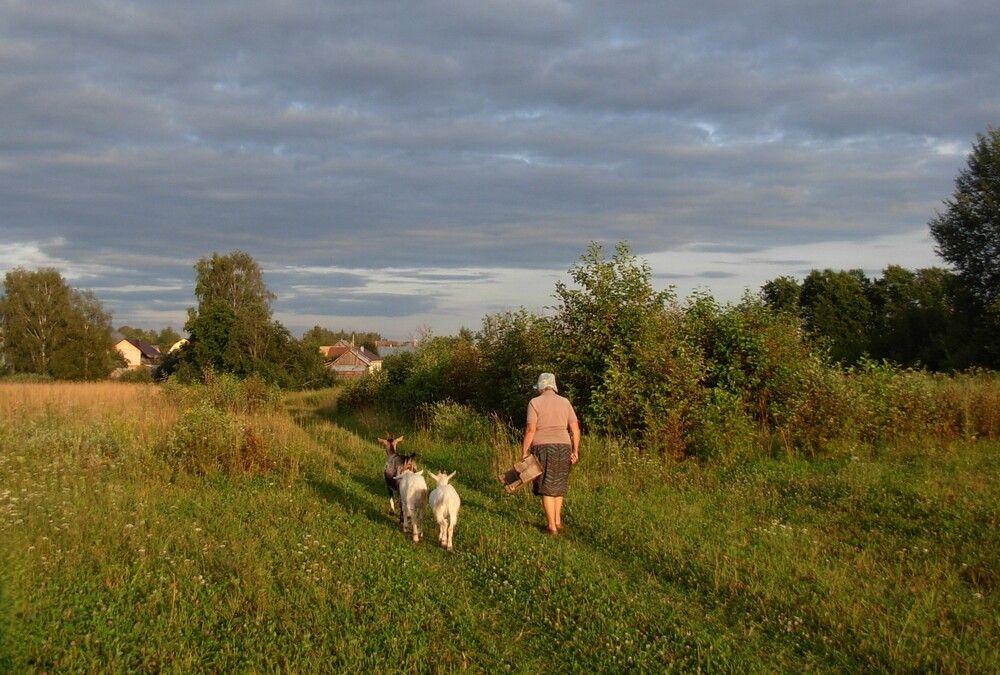 Photograph by Любовь Войводич