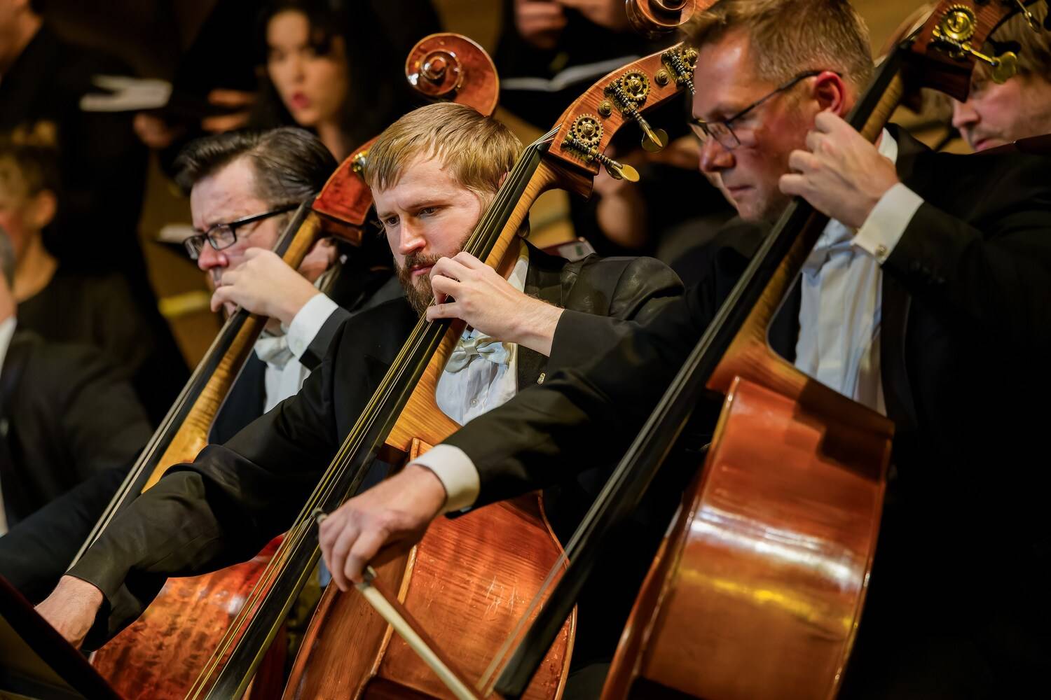 Фотография #13290688