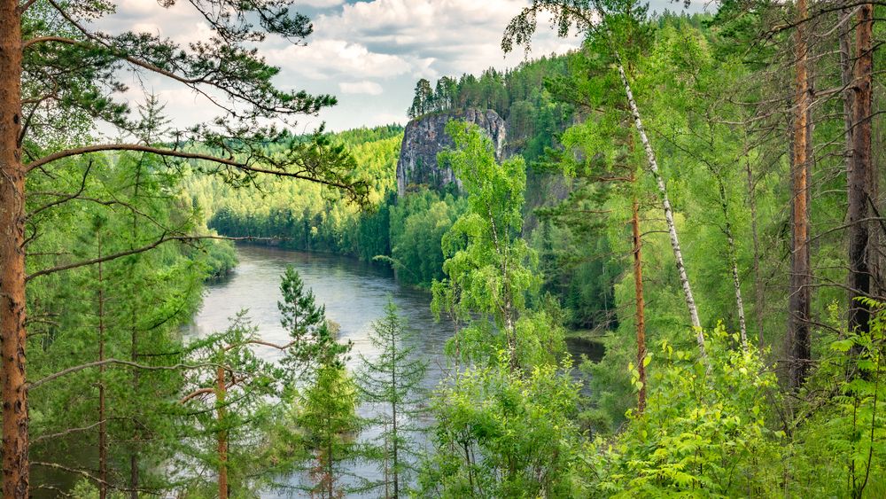 Photograph by Владимир Синцов