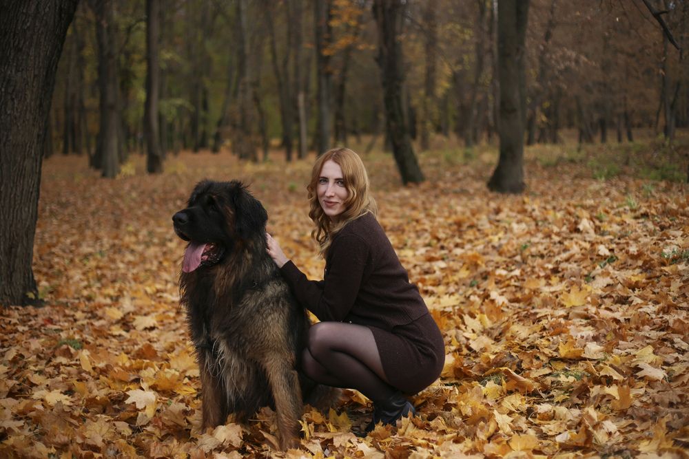 Фотография автора Маргарита Парфенюк