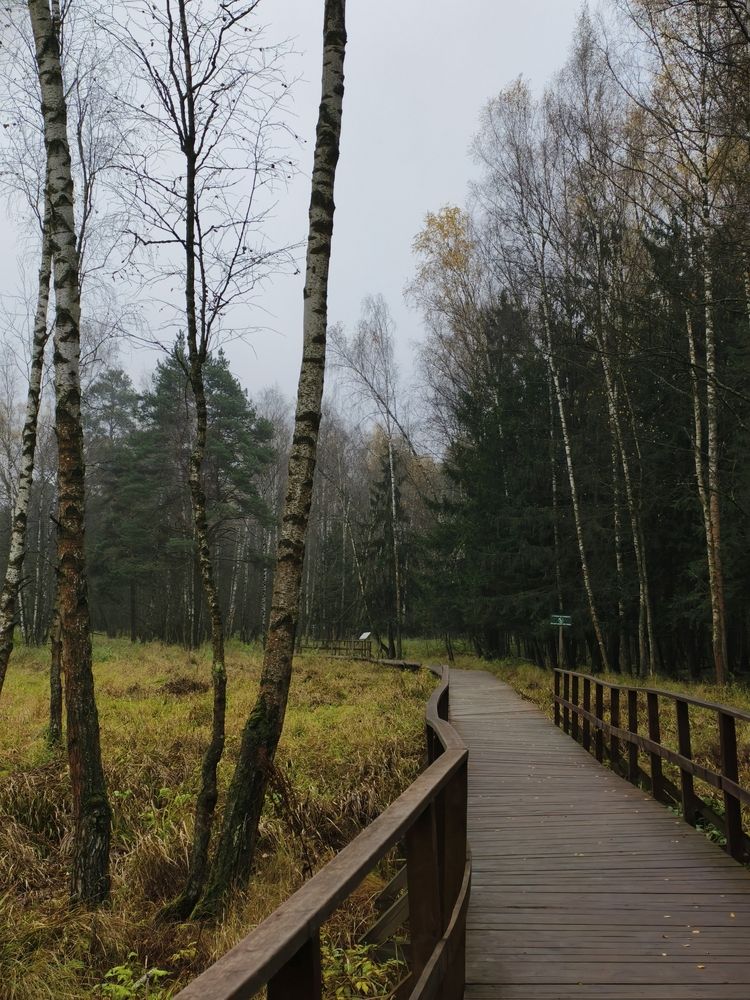 Photograph by Галина Бессуднова