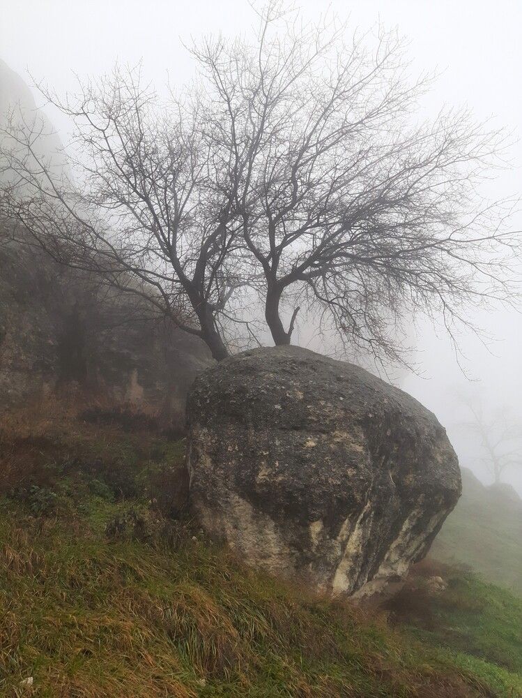 Photograph by Галина Глазкова