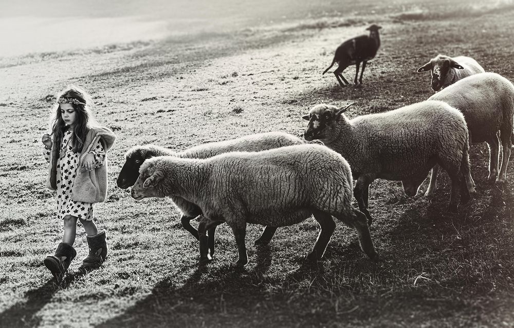 Photograph by Katrin Biendl