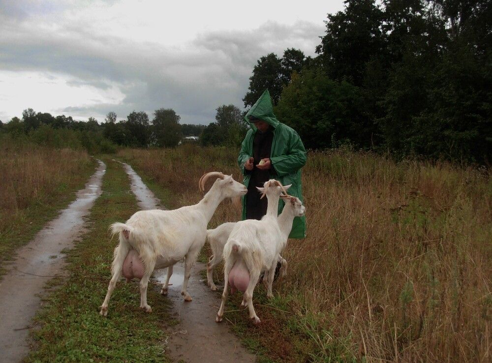 Photograph by Любовь Войводич