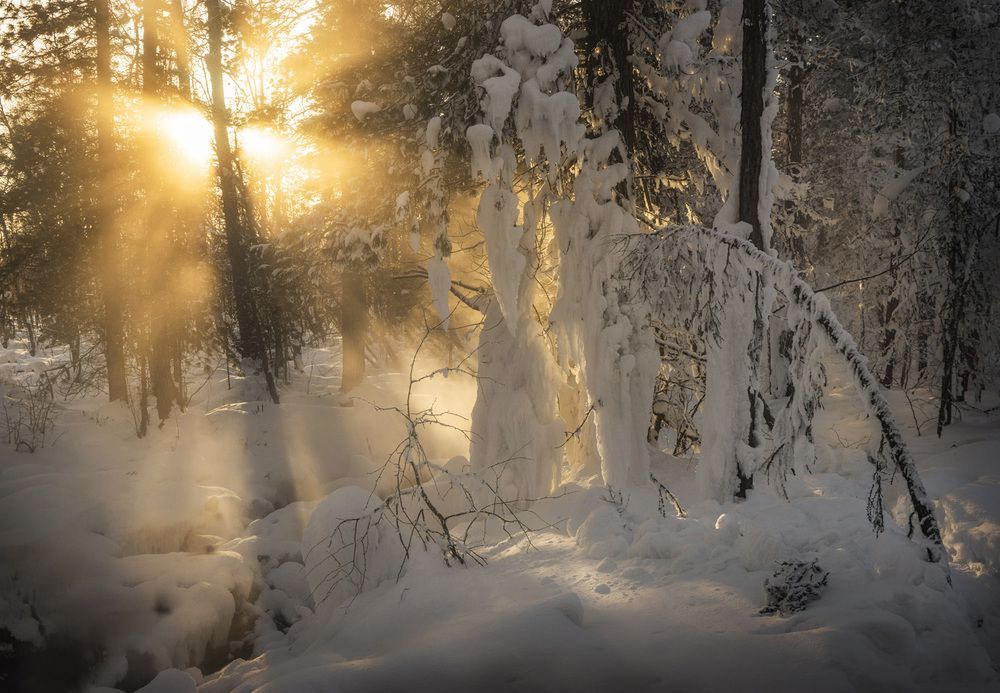 Фотография автора Татьяна Добровольская