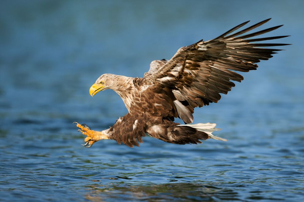 Photograph by Ruzhdi Ibrahimi