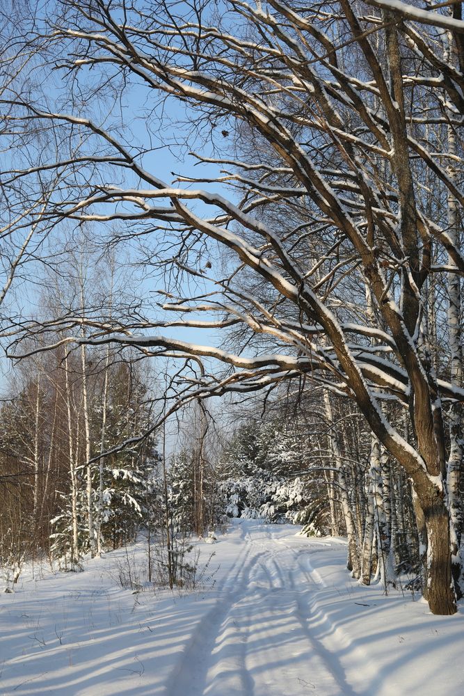 Photograph by Вера Боржеева
