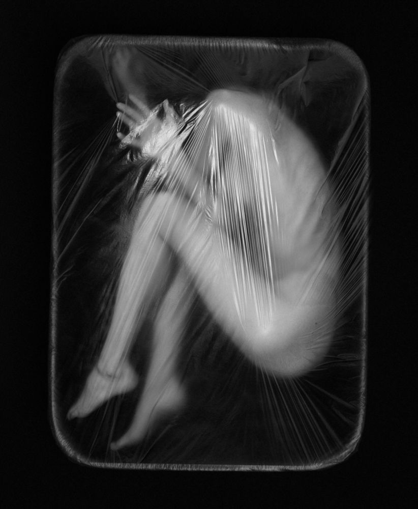 Photograph by Алексей Пучковский