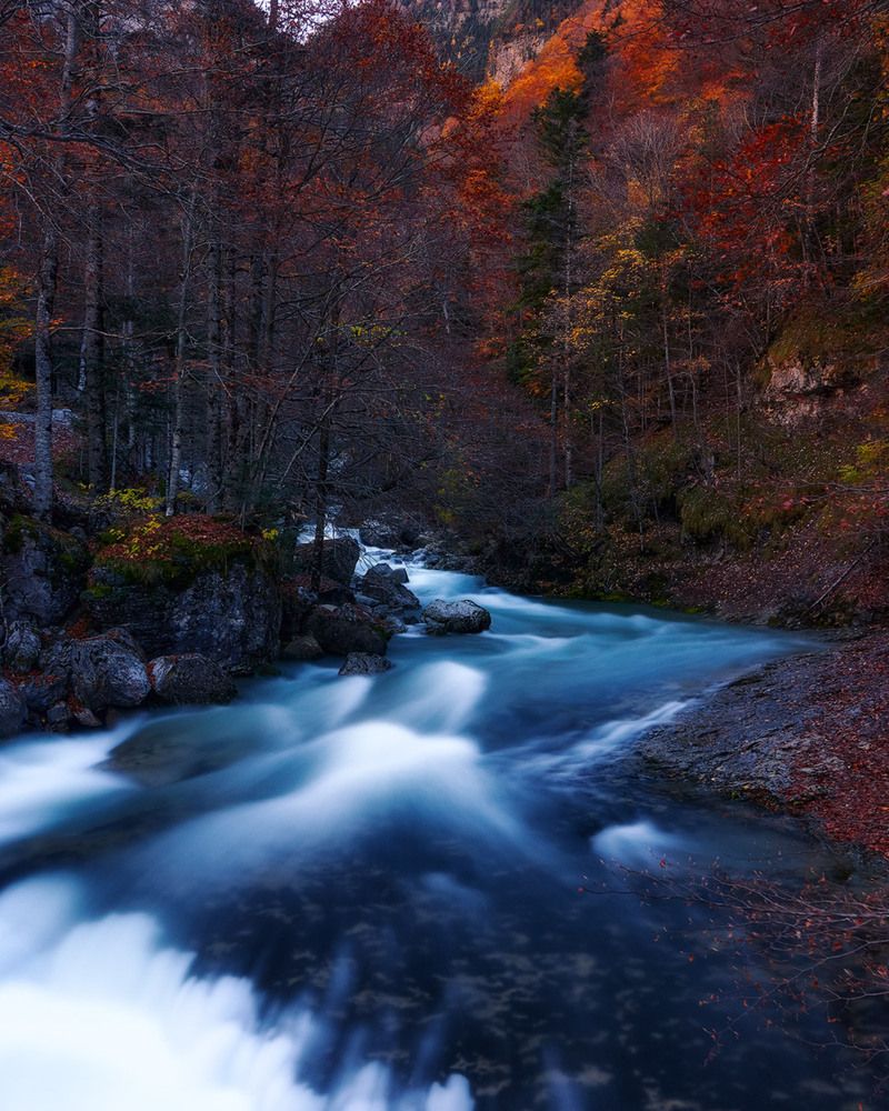Фотография автора Daniel Villalba Garcia