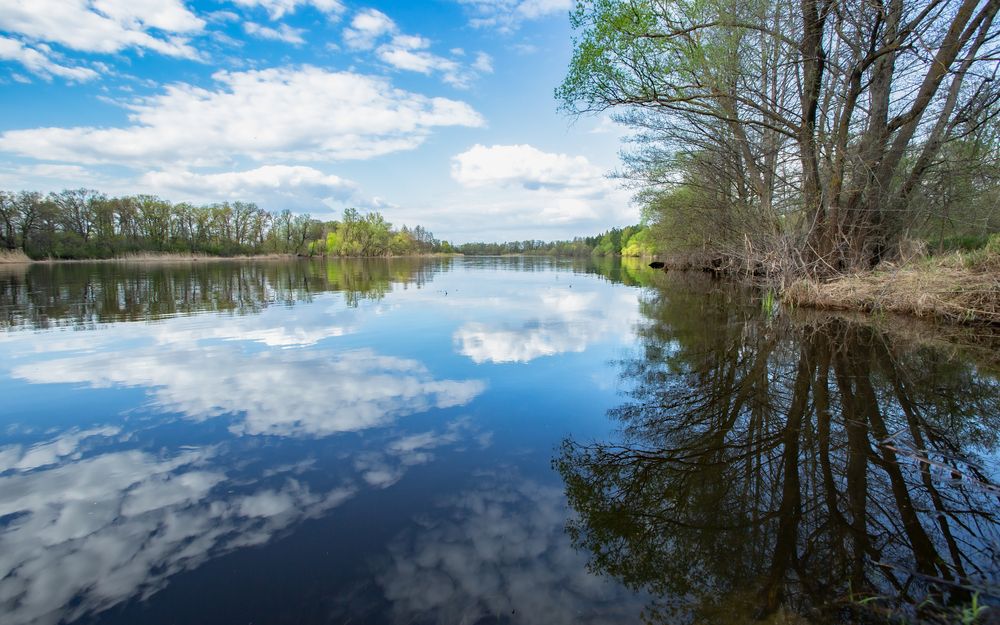 Photograph by Виталий Новиков