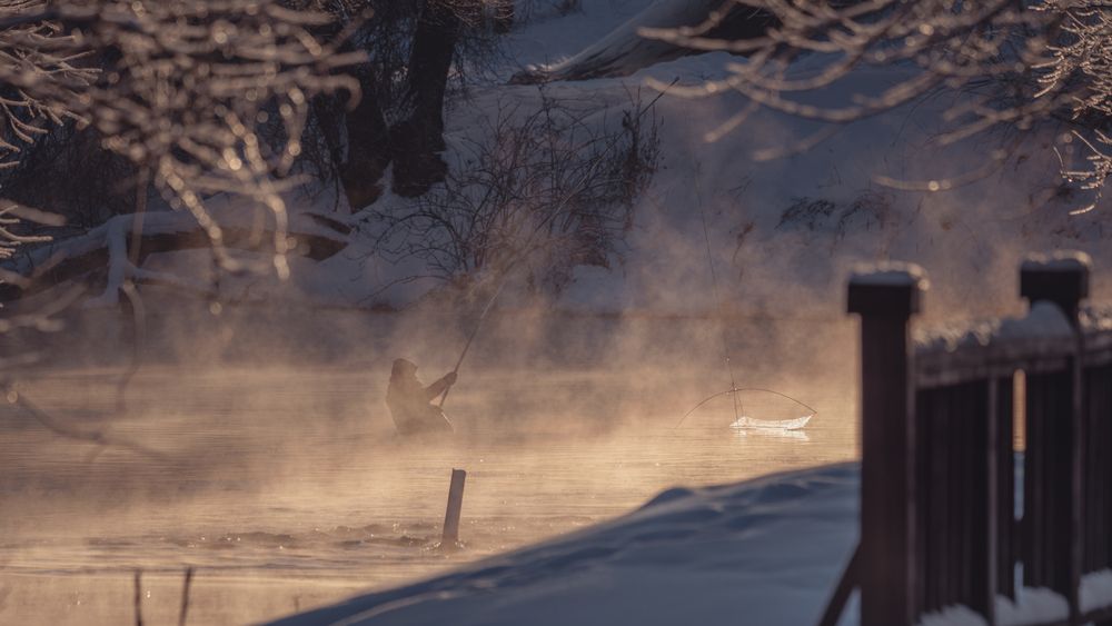 Photograph by Дмитрий Пищало