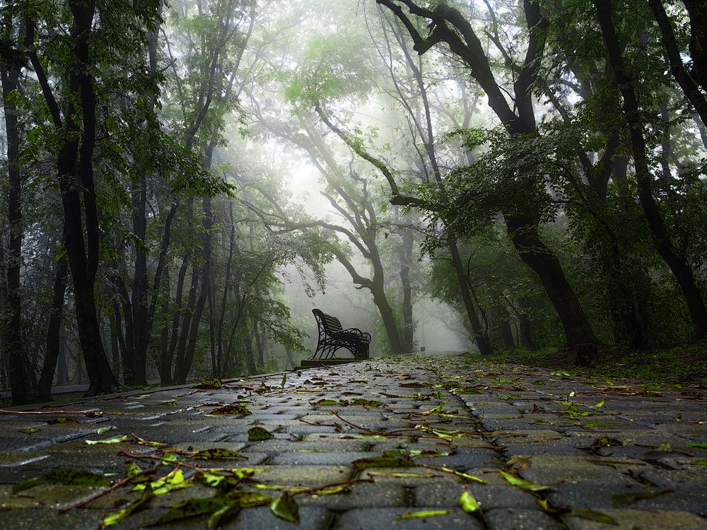 Photograph by Igor Maksimenko