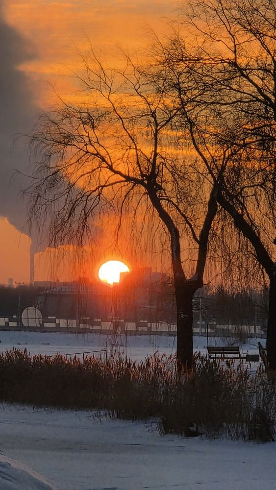 Photograph by Igor Kozlov