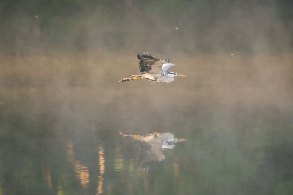 Photograph by Дмитрий Рязанцев
