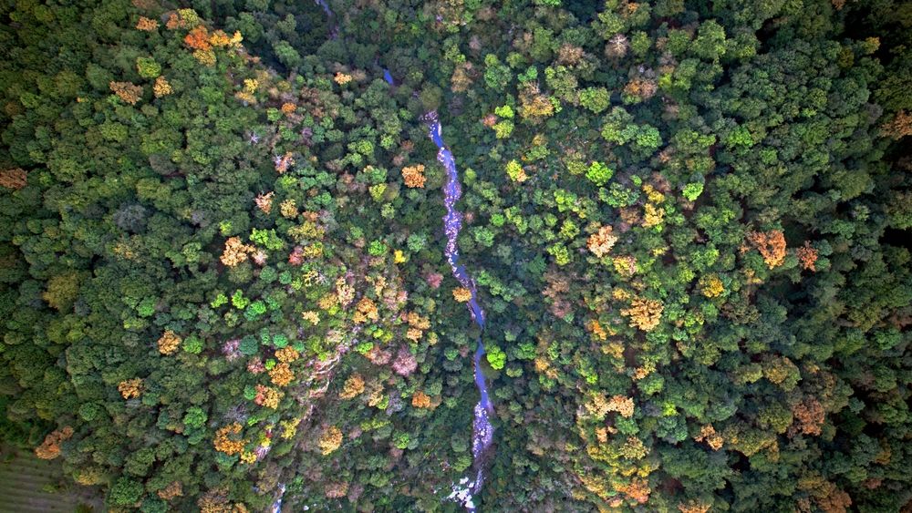Photograph by Зейфер Виталий
