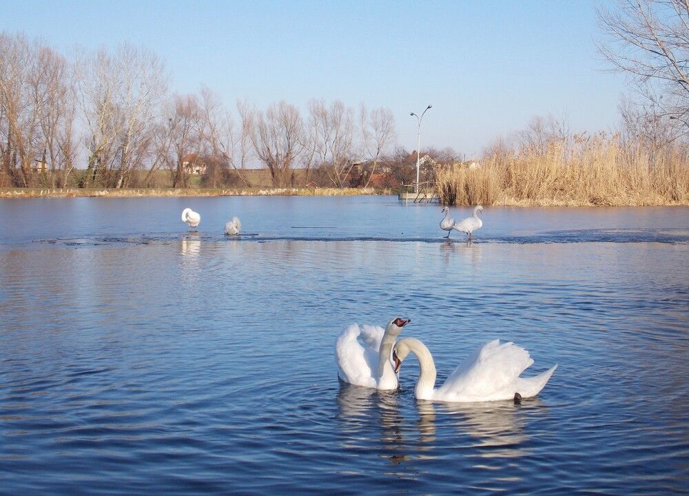 Photograph by Любовь Войводич