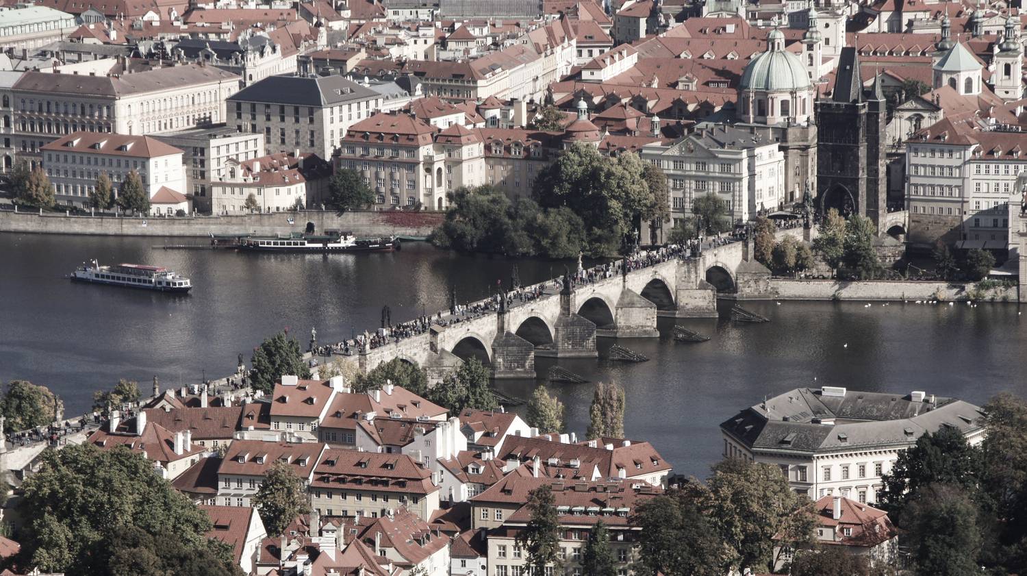 Фотография #13291161