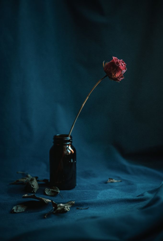 Photograph by Яна Пикулик