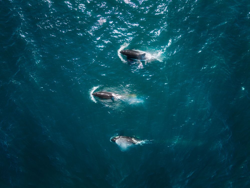 Photograph by Антон Агарков