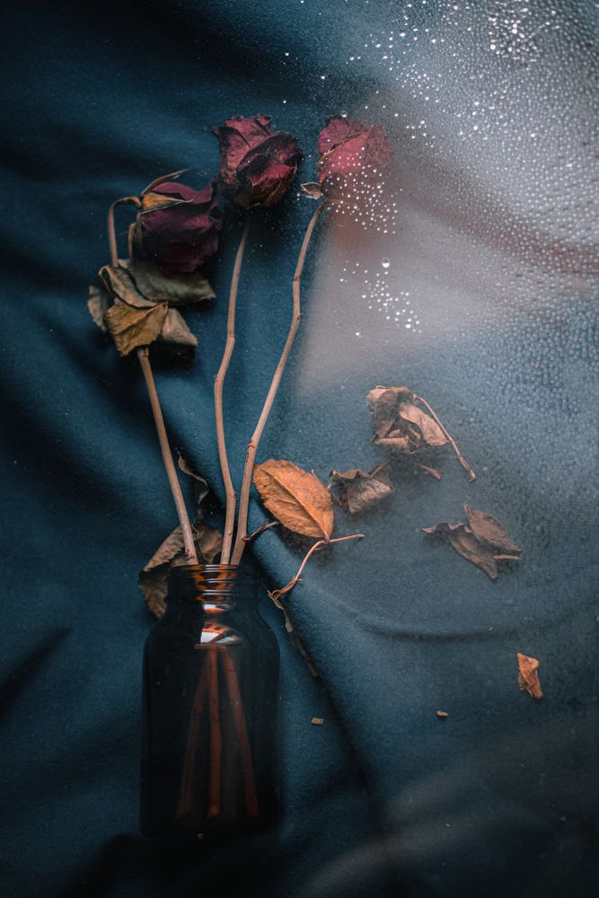 Photograph by Яна Пикулик