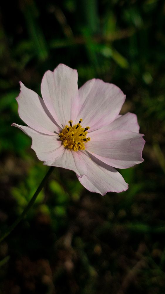 Photograph by Катя Черникова
