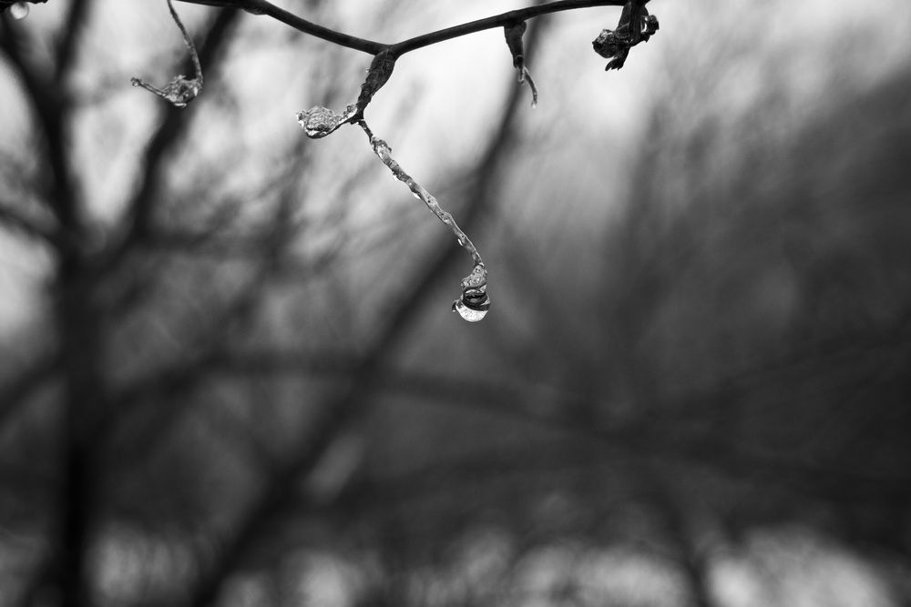 Photograph by Angelynn Johnson