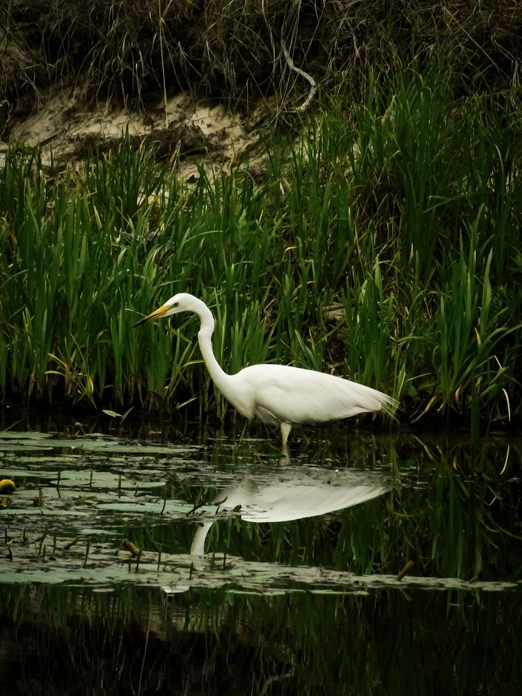 Photograph by Юлия Закопайло