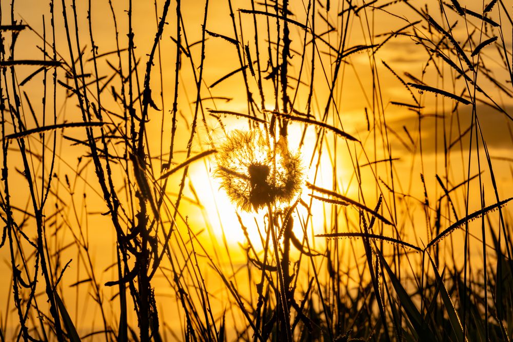 Photograph by Hosana Vieira