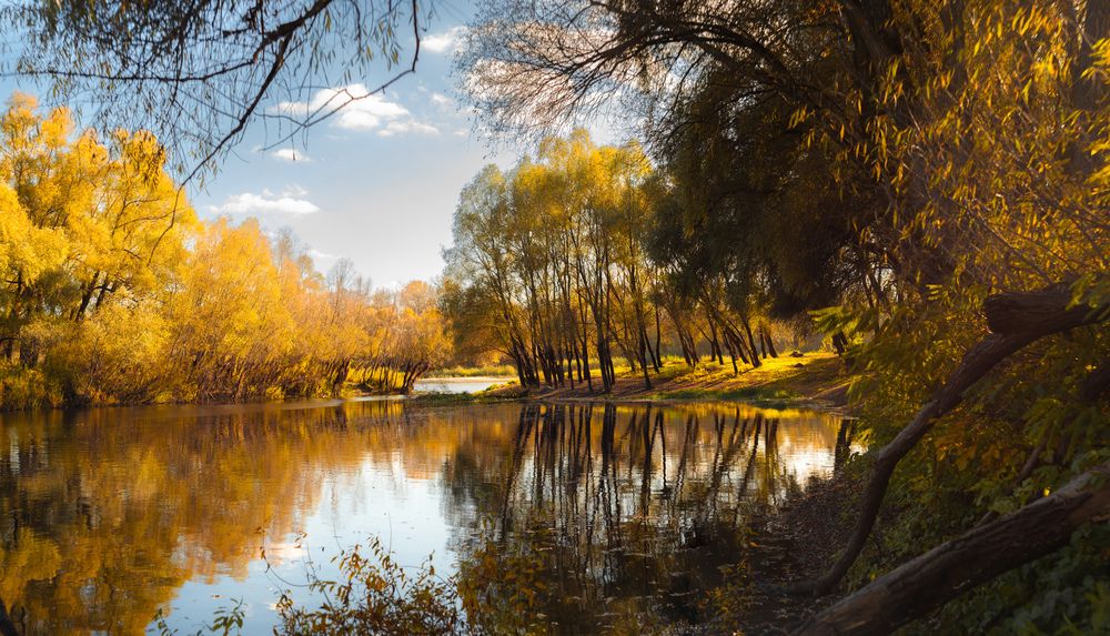 Фотография автора Дима Шарапов