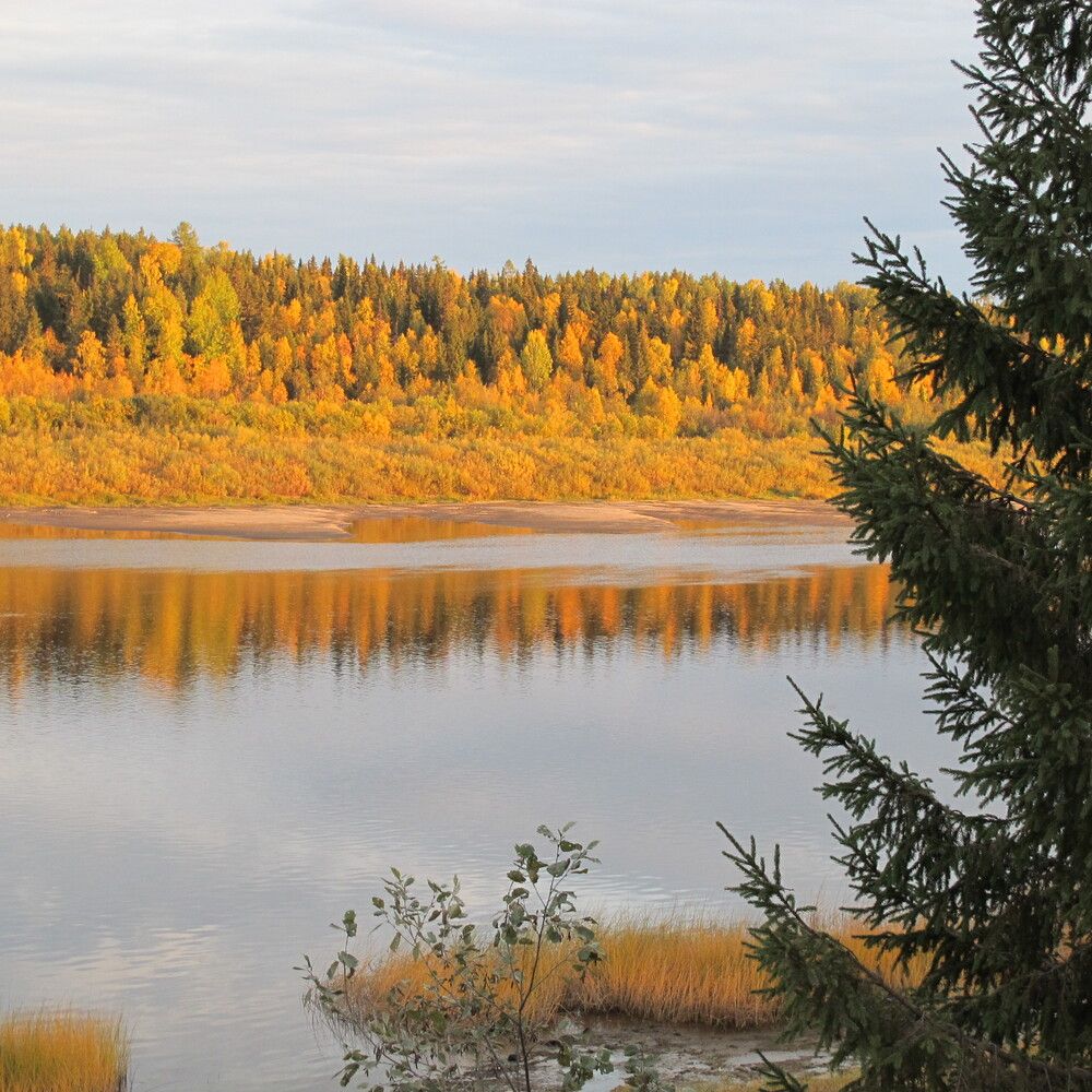 Photograph by Ульяна Кузьмина