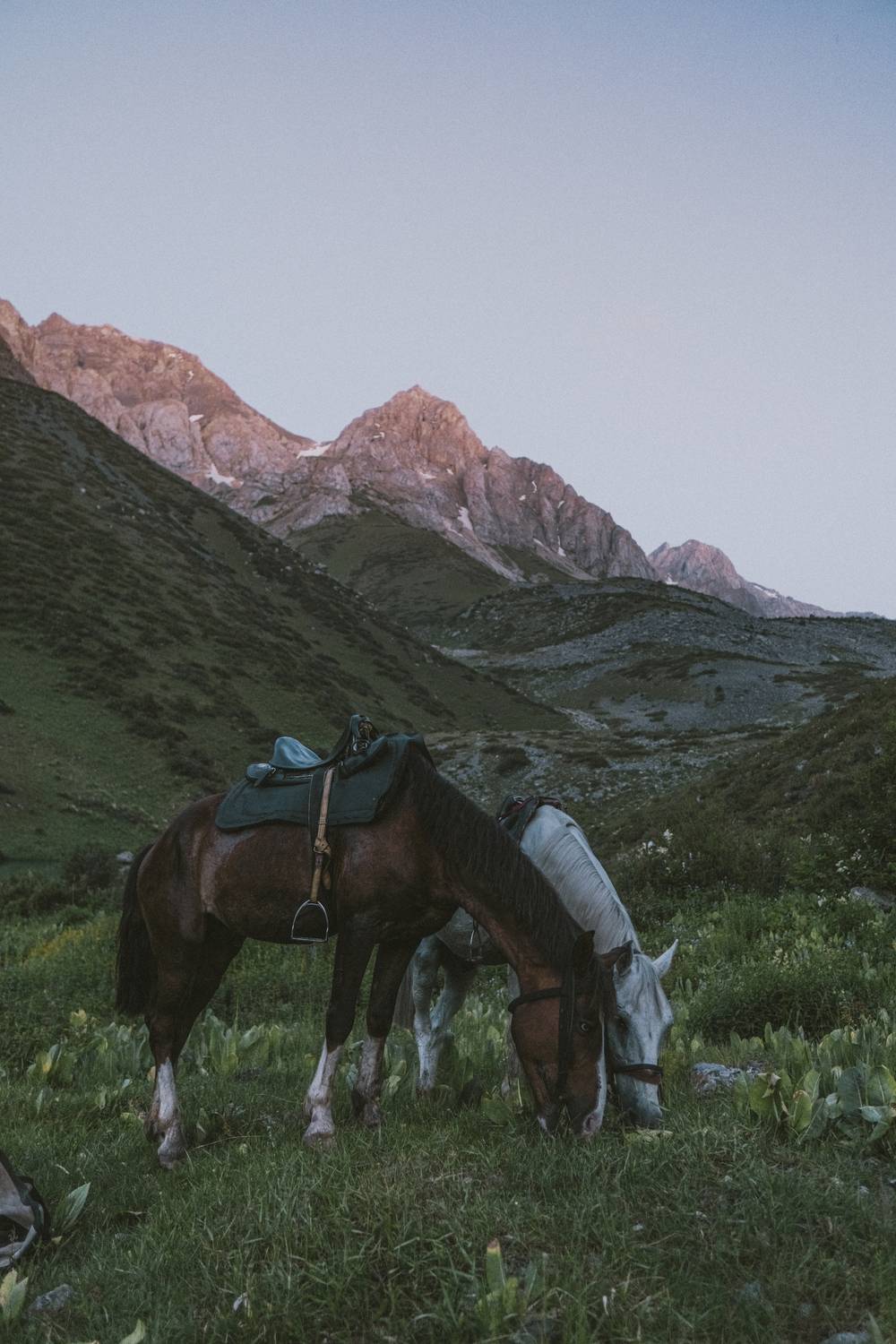 Photo #13291266