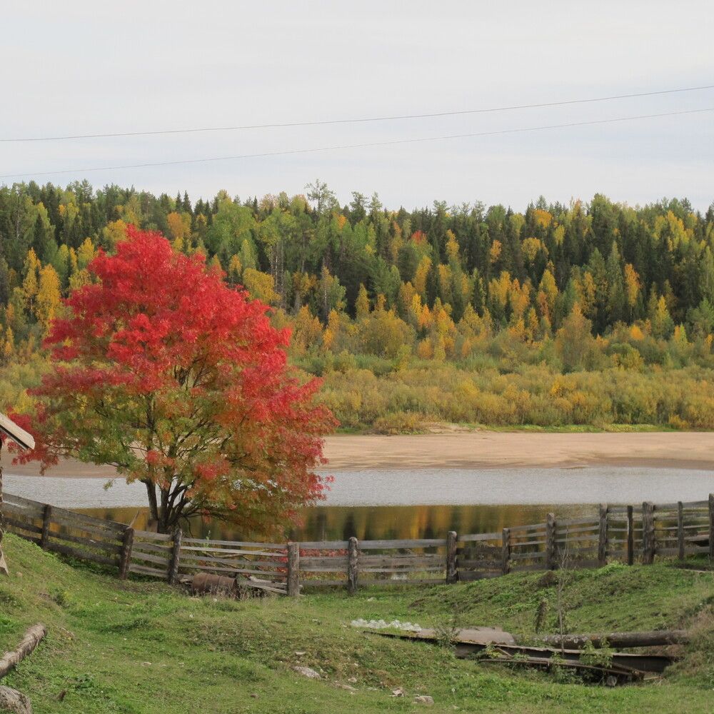 Photograph by Ульяна Кузьмина