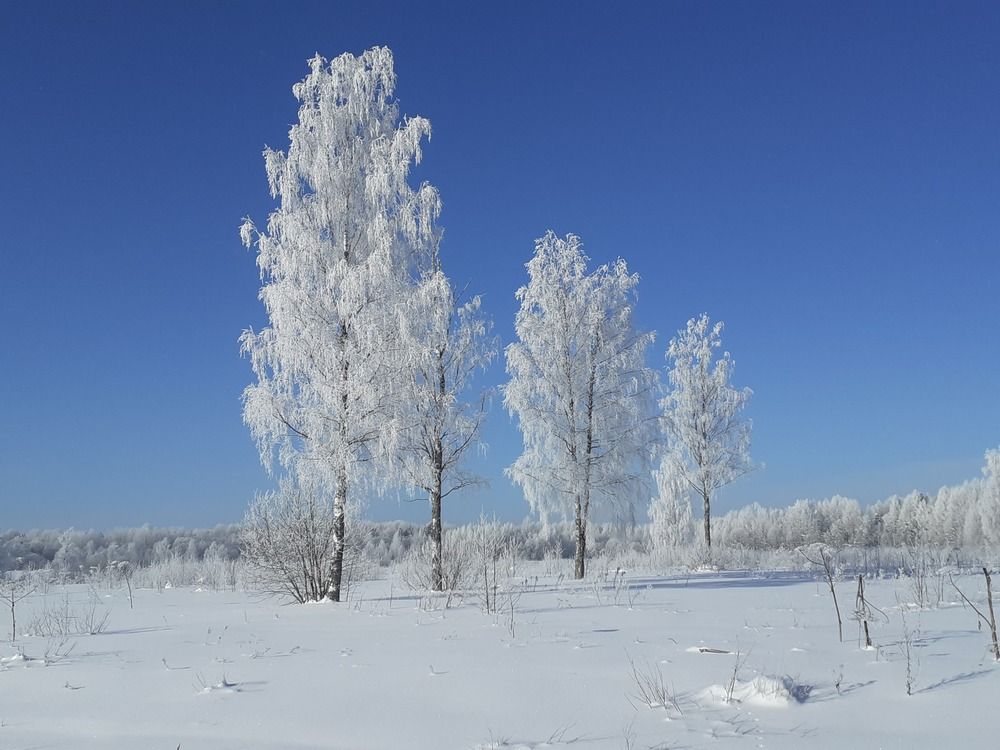 Photograph by Юрий Пучков