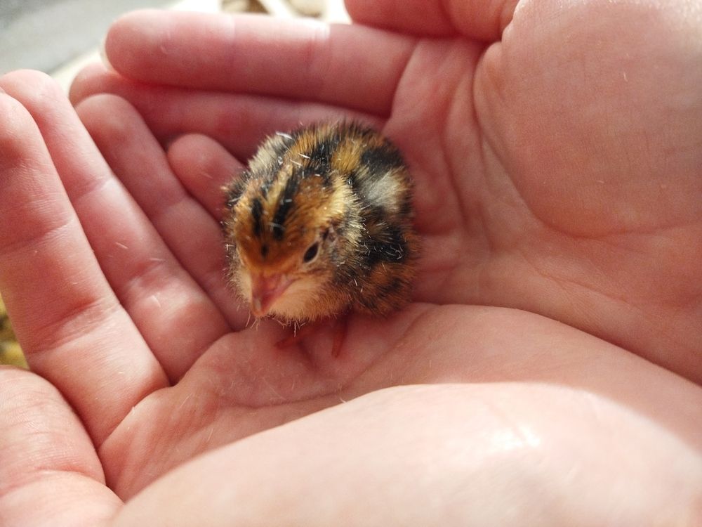 Photograph by Юлия Морозова