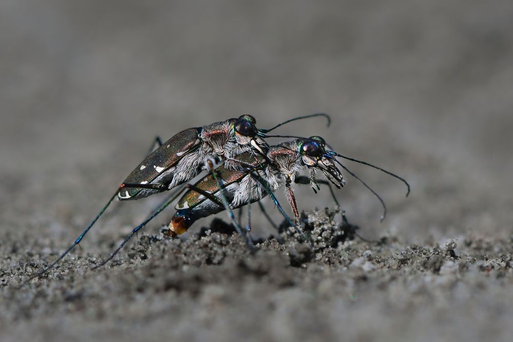 Photograph by ARUNAVA DEY