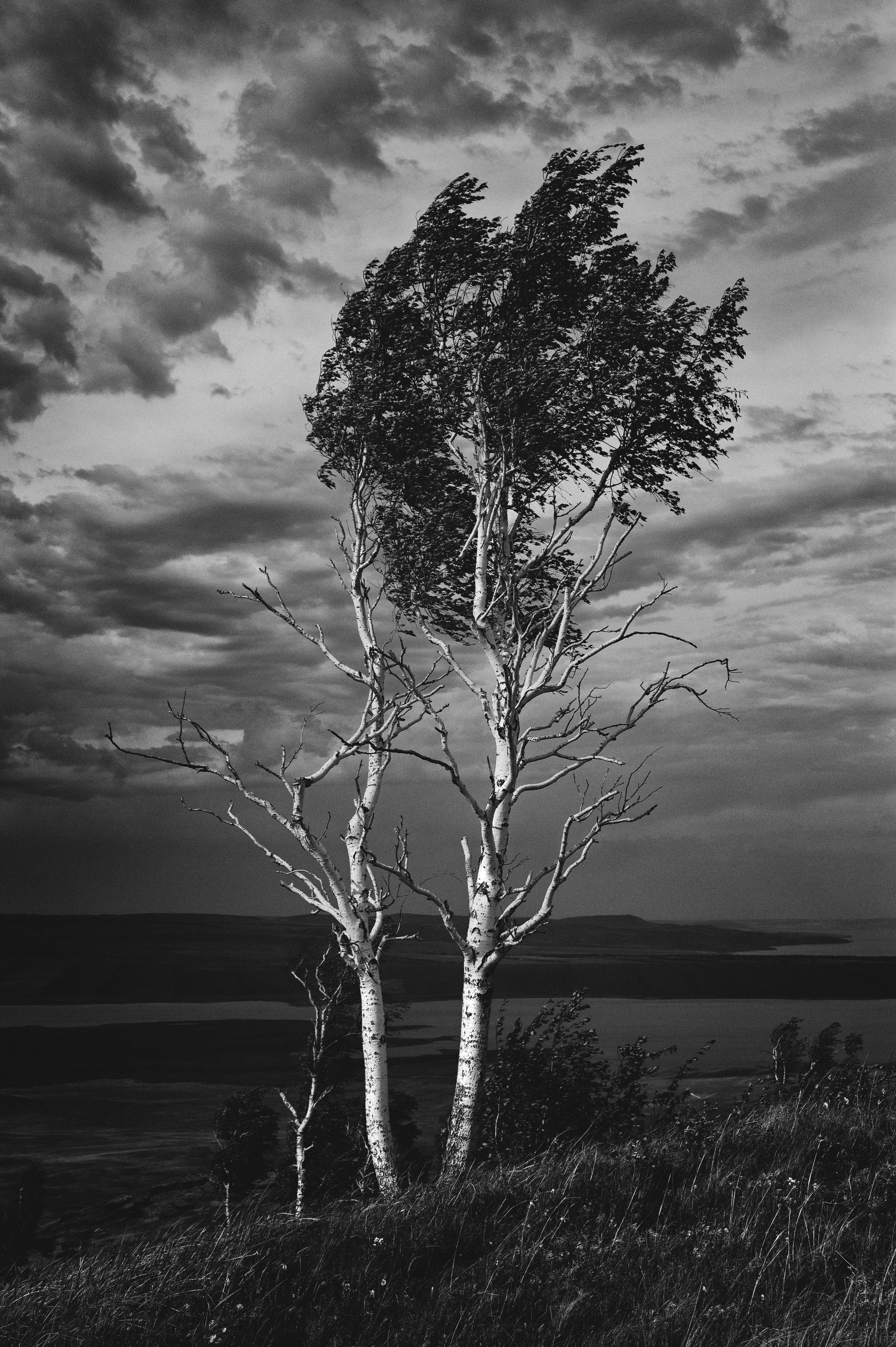 Фотография автора Светлана Андреева