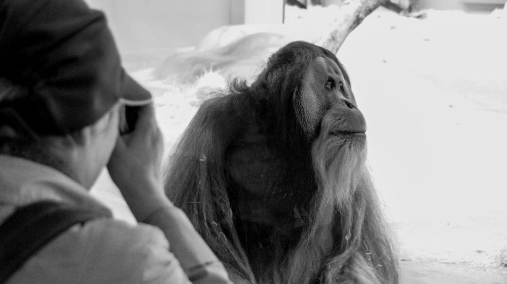 Photograph by Фролов Антон