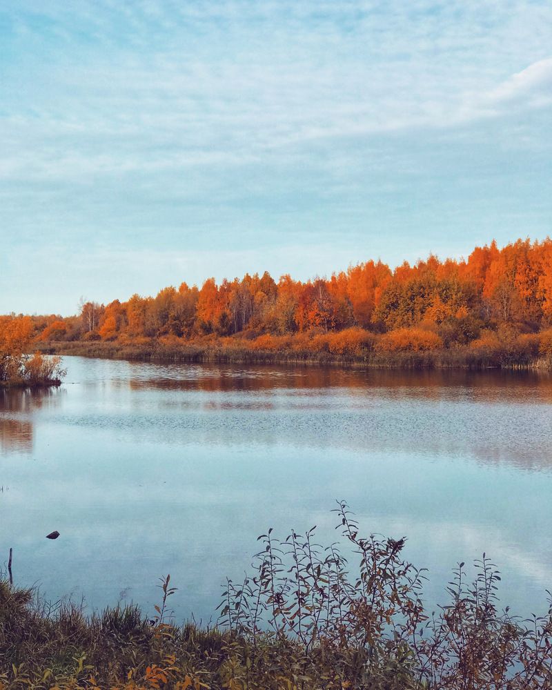 Photograph by Татьяна Волохова