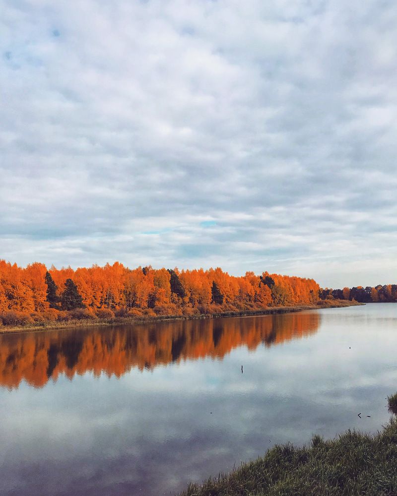 Photograph by Татьяна Волохова